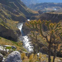 River Rio Colca
